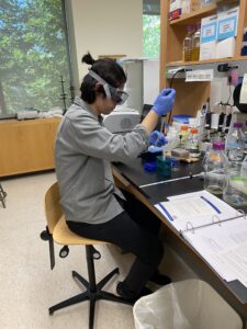 Person sitting at a lab bench pipetting